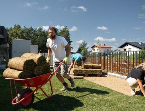 POLAGANJE TRAVNE RUŠE
